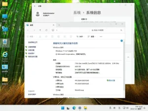 远方系统Ghost/ESD Win11 24H2 IoT 企业版LTSC 纯净版YR_L115 特色图