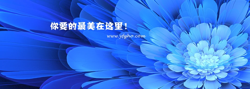 唯美花卉风景图,适合Windows桌面背景