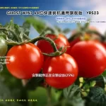 远方系统 Ghost win7装机版YRS23（32位64位） 特色图