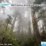 雨林木风Ghost Win10专业版 32位64位纯净版 特色图