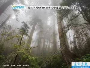雨林木风Ghost Win10专业版 32位64位装机版 特色图