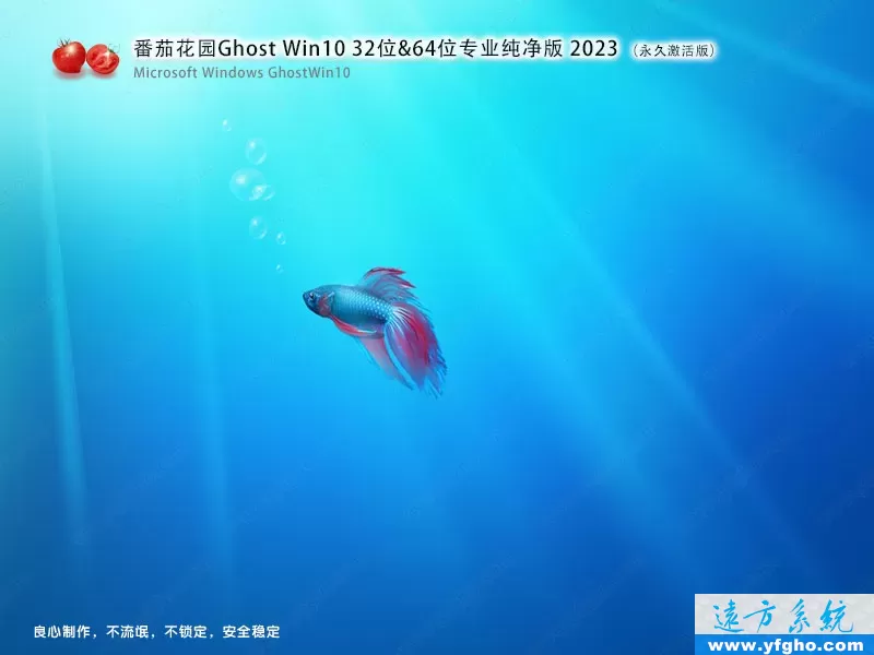 番茄花园Ghost Win10专业版32位64位纯净版2023 特色图