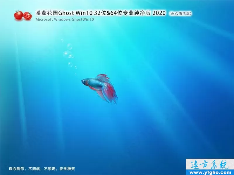 番茄花园Ghost Win10专业版32位64位纯净版 特色图